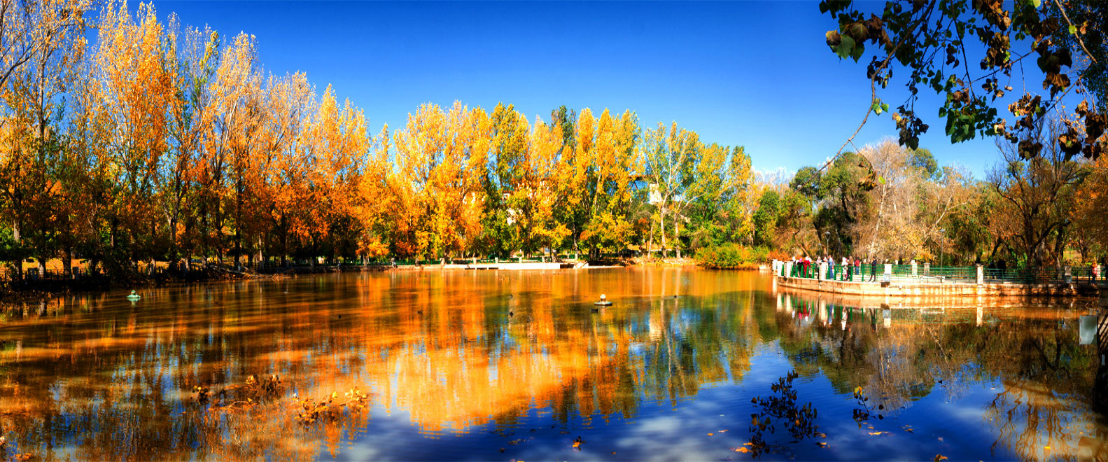 Private Middle Atlas Day Trip from Fes | Ifrane & Azrou