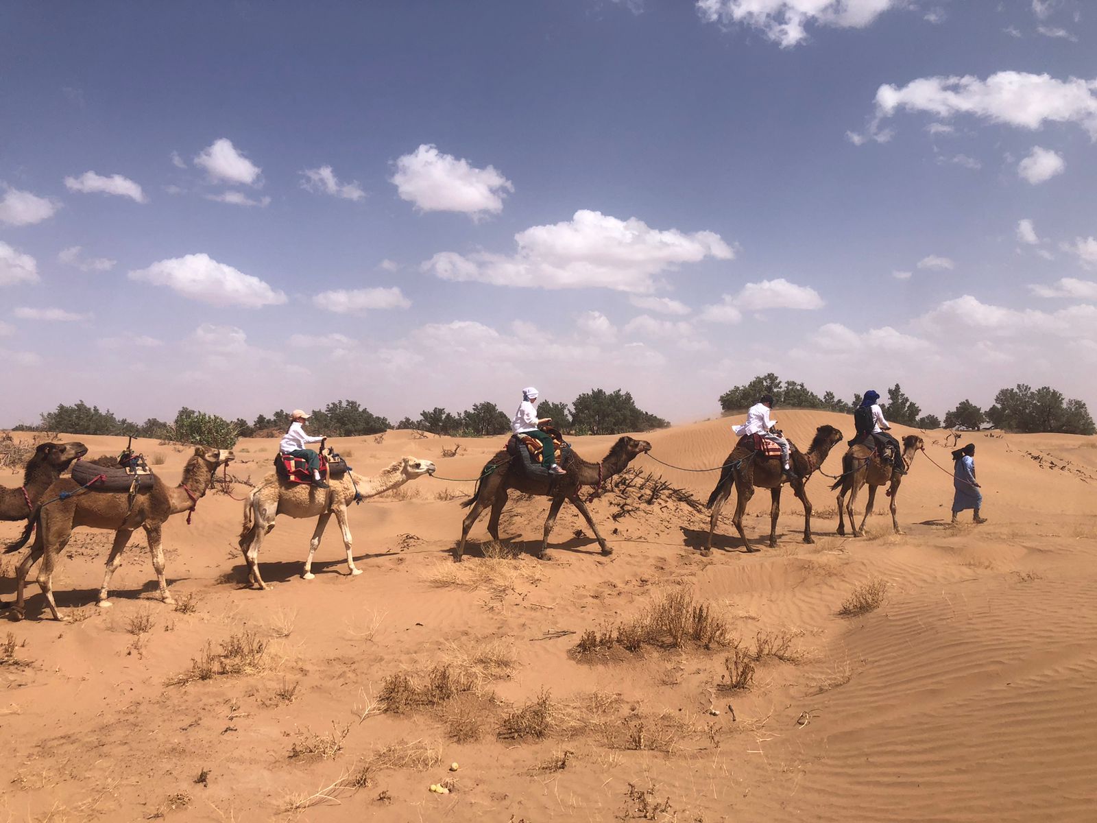 Fez To Merzouga Trip Tour